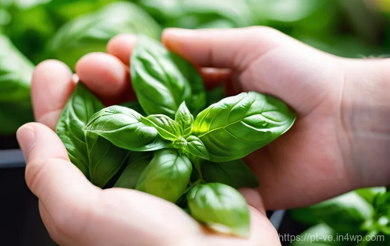 허브 풍미를 극대화하는 조리법 - **Prompt:** A close-up shot of a person's hands delicately inspecting a lush bunch of fresh, vibrant...